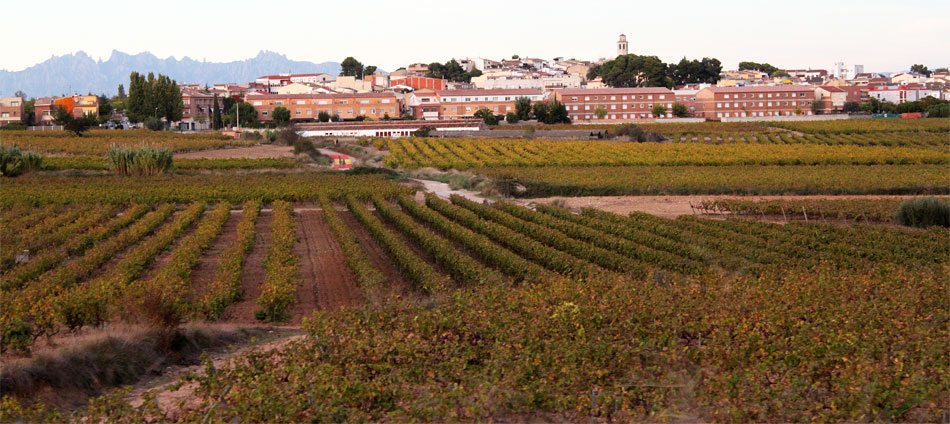 Santa Margarida i els Monjos